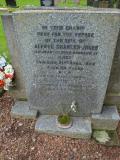 image of grave number 258323